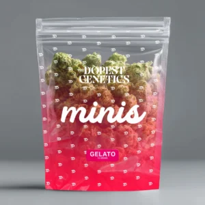 Half Ounce MINIS Gelato Hybrid Flower 14 grams
