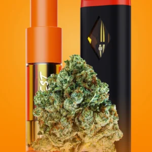 THE DOPEST NEWLY RELEASES